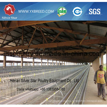 Silver Star Poultry Equipment Chicken Cages for Layer and Broiler